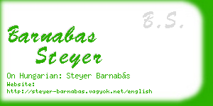 barnabas steyer business card