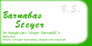 barnabas steyer business card